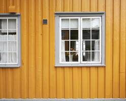 GULT er en populær farge. Historisk sett er oker av de mest brukte gulfargene på hus her i Norge. Da ble fargene framstilt av pigmenter fra jordsmonnet.     
